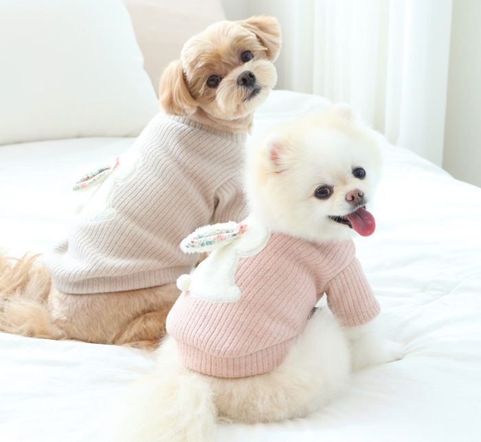 ͽITS DOGBaby Bunny Knit T-shirt  ɥå    T ꡼...