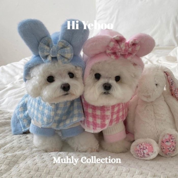 ¨ǼHi YebooMuhly CapeBlue Bunny / Pink Bear