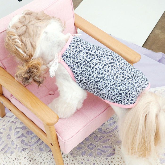 ͽGET BACKۥץե꡼֥쥹 ڹ ֥ 襤  ץ쥼  NEW   