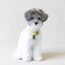 ※予約販売【maison de miu】Pet Collar (Yellow / Green) 韓国 ブランド かわいい おしゃれ プレゼント 小型犬 首輪 タ...