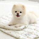 ※予約販売【ITS DOG】Disney Rayon Cooling Mat(Bambi) ITS DOG Disney Rayon Cooling Mat Bambi 韓国 犬用品 ドッググッズ マット 犬用マット ドッグクッション