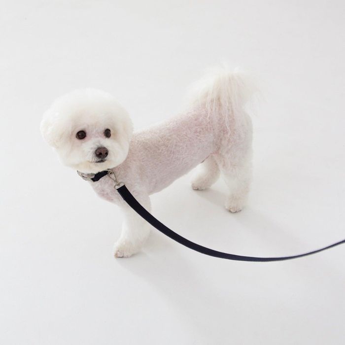 ※予約販売【foreverybari】Classic Pet Leash（Dark Navy） 韓国 犬用品 ドッググッズ リード 散歩リー..