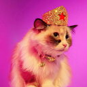 ※予約販売【MOSHIQA】Golden Collection Golden Star Tiara for Felines