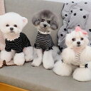 ※予約販売【GET BACK】スワロフスキーレースアップボーダーニットソー 韓国 ブランド かわいい おしゃれ プレゼント 小型犬 NEW 春 夏 秋 冬 犬