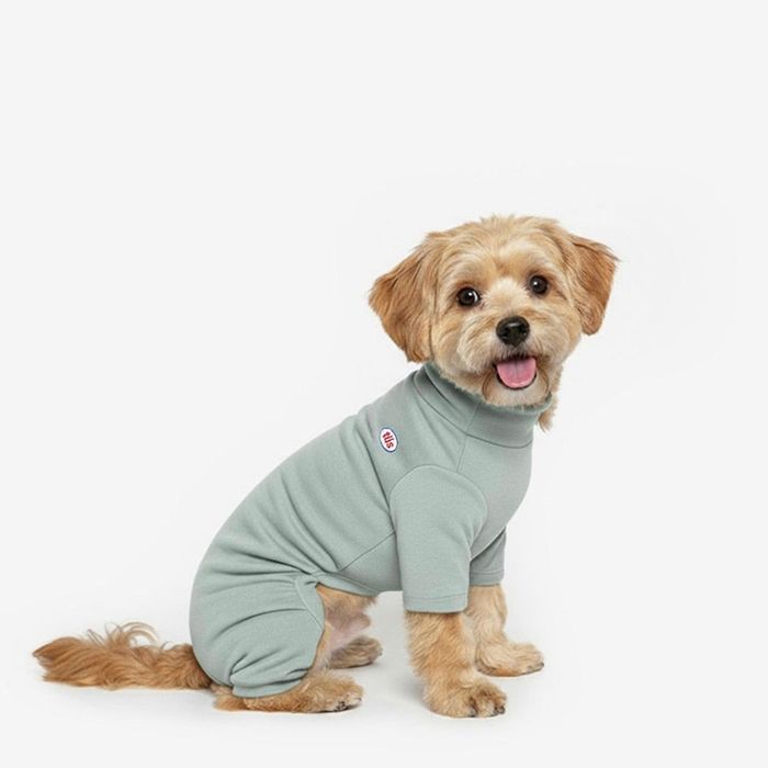 ※予約販売【TUSTUS】Basic solid all in one（Mint gray） 犬服 ドッグウェア 犬の服 韓国 犬用品 ドッ..