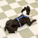 ※予約販売【andblank×Knotted】Smile haeness(Blue) 韓国 ブランド かわいい おしゃれ プレゼント 小型犬 首輪 ハーネス 散...
