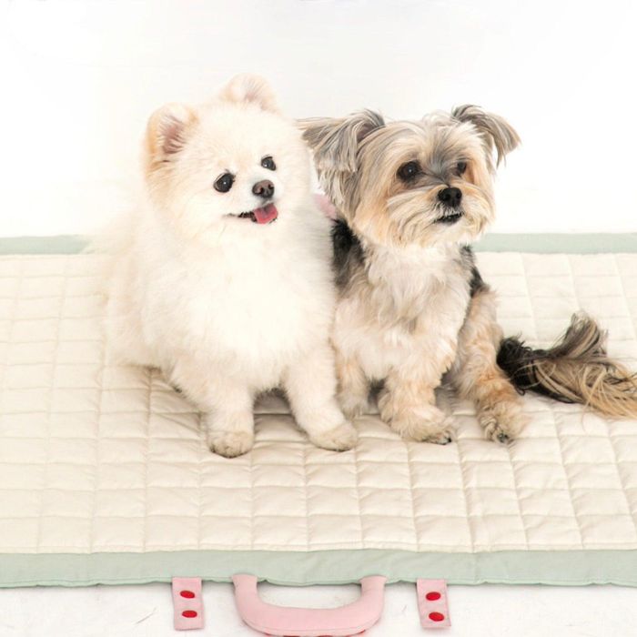 即納【BITE ME】Compact Soft mat（Ivory） 韓国 犬用品 ドッググッズ マット 犬マット ペット用マット..