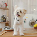 ※予約販売【maison de miu】Square Pearl Collar(Black) 韓国 ブランド かわいい おしゃれ プレゼント 小型犬 首輪 タオ...