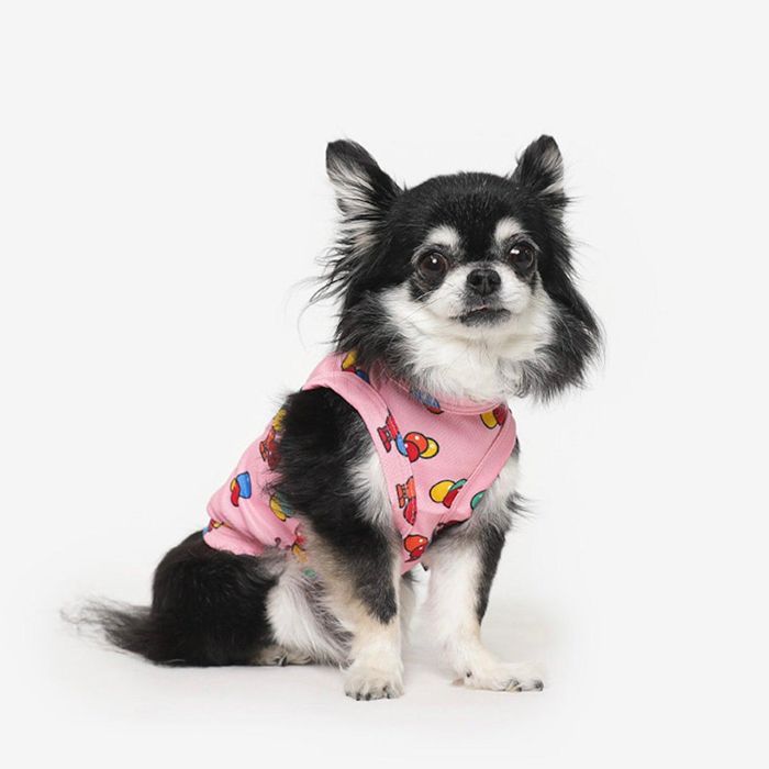 ※予約販売【TUSTUS】Cool Sleeve（candy） 犬服 ドッグウェア 犬の服 韓国 犬用品 ドッググッズ 大型犬..