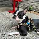 即納【iCANDOR】No-Pull Harness(LEOPARD) 犬用品 ドッググッズ ハーネス ドッグハーネス 犬ハーネス 犬用ハーネス リード 散歩グッズ 散歩用品 犬のリード 犬用リード(4)