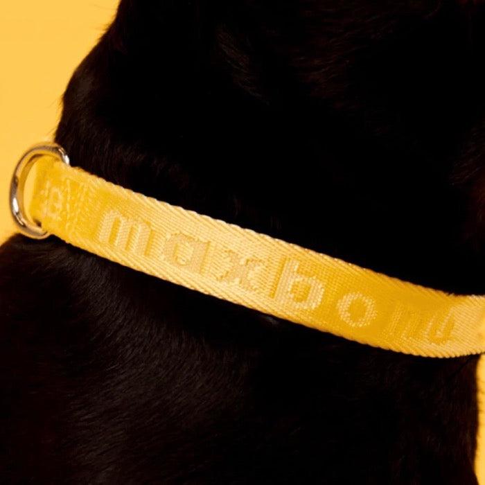 ※予約販売【max bone】Signature Collar 韓国 ブランド かわいい おしゃれ プレゼント 小型犬 ドッグウェア 首輪 散歩グッズ NEW 春 夏 秋 冬 軽量