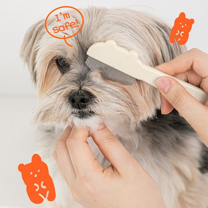 ※予約販売【BITE ME】Jellybear round face comb