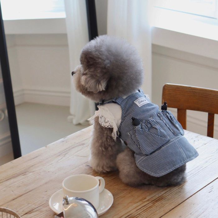 ͽGET BACKGoose overalls onepieceDenim Stripe  ɥå  ...