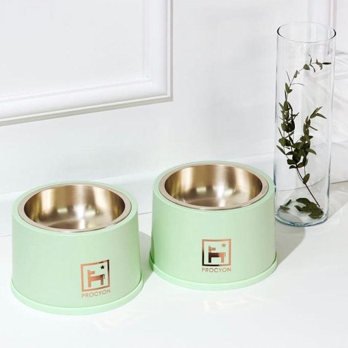 楽天URBAN DOG TOKYO 楽天市場店即納【PROCYON】cooler bowl bronze（Paradise green） 韓国 ブランド かわいい おしゃれ プレゼント 小型犬 スリング 水飲み 給水器 NEW 春 夏 秋 冬 食器 犬