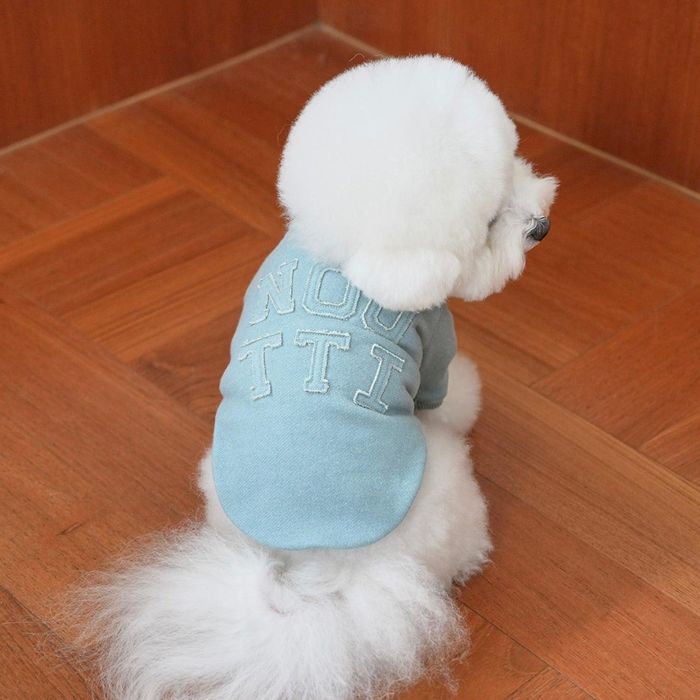 ※予約販売【noutti】Groovy Sweat Shirt（Sky Blue） 犬服 ドッグウェア 犬の服 小型犬 小型犬服 犬用..
