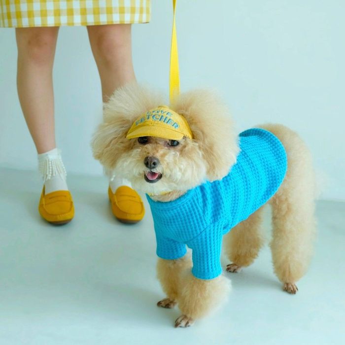 ※予約販売【FREDDIE TALE】LOVE FETCHER CORDUROY BALL CAP（Mustard）