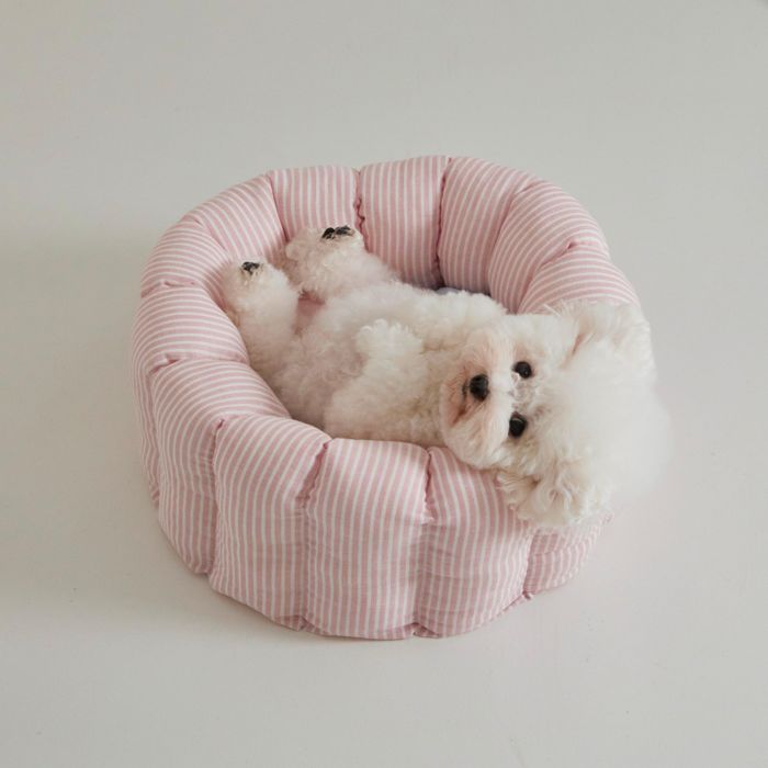 ※予約販売【azallea】Canele Cushion（stripe linen canele / pink） 犬用品 ドッググッズ ドッグクッション 犬用クッション 犬クッション 犬ベッド 犬用ベッド ペットクッション 犬ベット 寝床 韓国