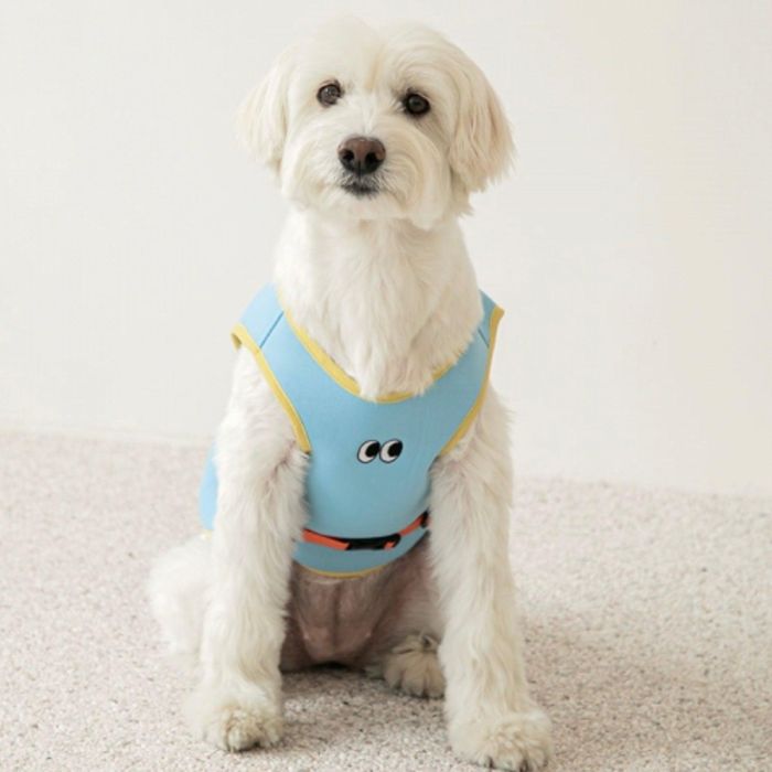 ※予約販売【BITE ME】Ice Cooling Vest（Skyblue）大型犬用 韓国 ブランド かわいい おしゃれ プレゼント 小型犬 ハーネス NEW 夏 お出かけ 大型犬 犬 雨 ペット用品
