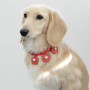 ※予約販売【maison de miu】 Daisy pearl neck strap(Coral) 韓国 ブランド かわいい おしゃれ プレゼント 小型犬 首...