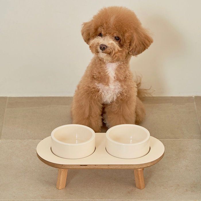 予約販売【small stuff】 DINING SET CREAM 2P 韓国 ブランド かわいい おしゃれ プレゼント 小型犬 フードボウル タオル NEW 丈夫 食器 犬 猫 雨