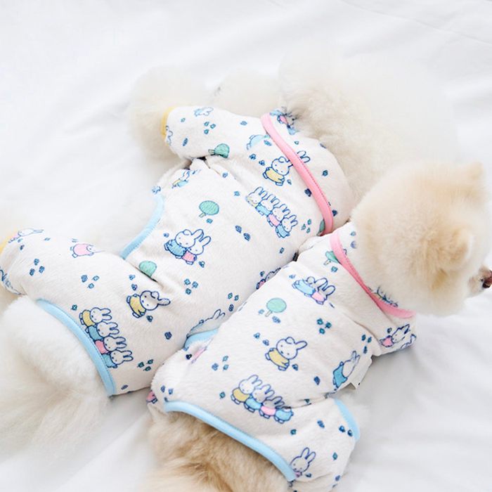ͽnouttiSnow Miffy All in one  ɥå     ɥåå ɴ   miffy