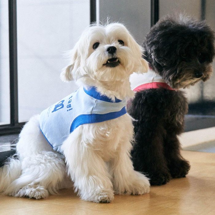 ※予約販売【munikund】One Hole Crop (Sky Blue) 犬服 ドッグウェア 犬の服 スリーブレス 犬用品 ドッ..