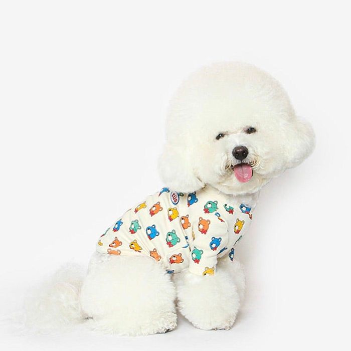 ※予約販売【TUSTUS】COLOR BEAR TEE TUSTUS COLOR BEAR TEE 伸縮性 カラフル プリント 子供服 韓国 犬服 ドッグウェア 犬の服 小型犬