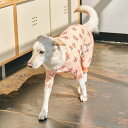 ※予約販売【munikund】Bug Guard All-In-One ( Yellow Pretzel) 犬服 ドッグウェア 犬の服 小型犬 小型犬服 犬用品 ドッググッズ 春 夏 秋 通気性