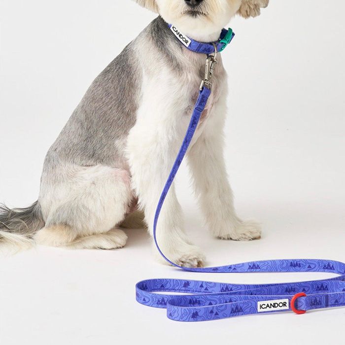 即納【iCANDOR】CAPRI WATERPROOF LEASH（OUTBACK） 犬用品 ドッググッズ リード 散歩用品 防水 大型犬..