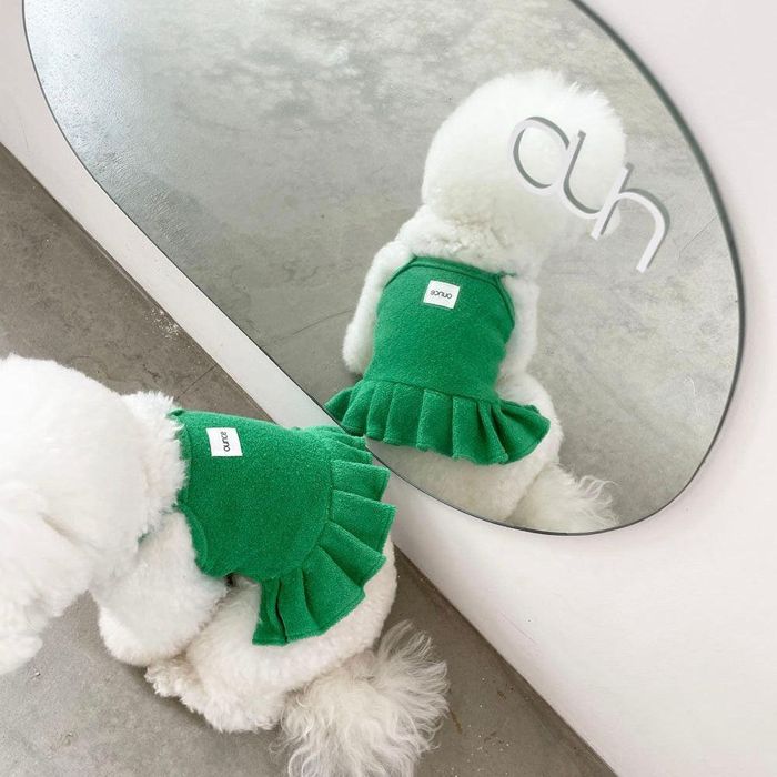 ※予約販売【OUNCE】terry crop frill top（Green） 韓国 犬用品 ドッググッズ Tシャツ スリーブレス ドッグウェア 犬服 犬の服 小型犬 小型犬服のサムネイル