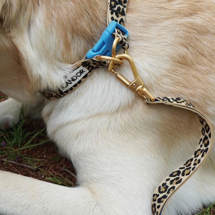 予約販売【iCANDOR】Gentle Leash Bolt LEOPARD 犬リード 犬用リード 犬リード大型犬 リード大型犬 中型犬リード 犬用 ペット用 リード 散歩用品 散歩グッズ おしゃれ かわいい 犬 散歩 丈夫 …