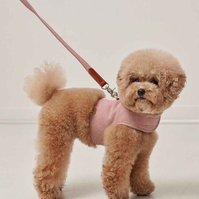 ※予約販売【small stuff】CLASSIC LEASH（PALE PINK） 韓国 ブランド かわいい おしゃれ プレゼント 小型犬 バッグ 首輪 ハーネス リード 散歩グッズ NEW お出かけ 丈夫 犬