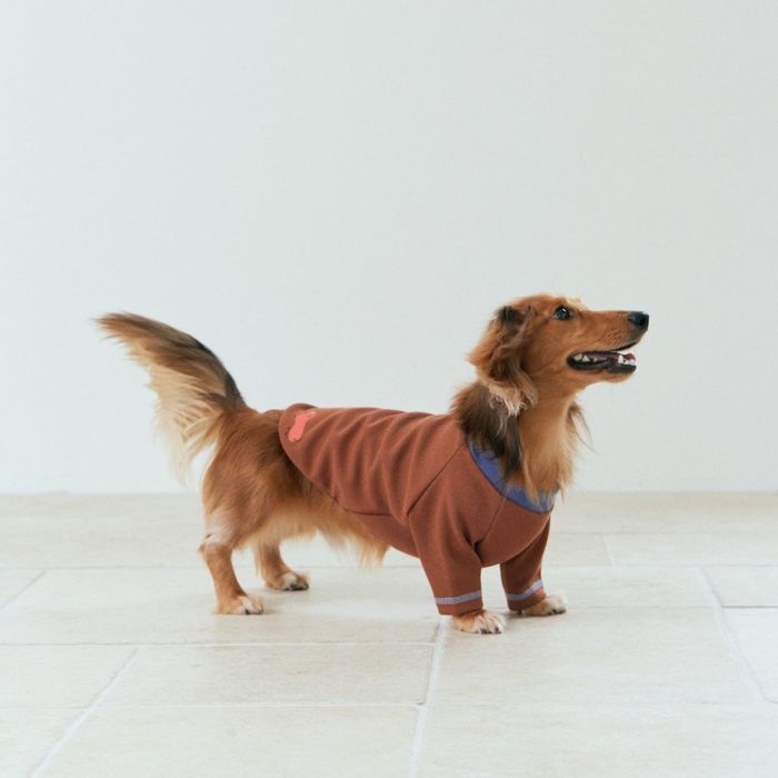 即納【munikund】Nies Pullover (Brown) 韓国 ブランド かわいい おしゃれ プレゼント 小型犬 キャラクター NEW 中型犬 春 秋 冬 大型犬 犬 中型犬 大型犬