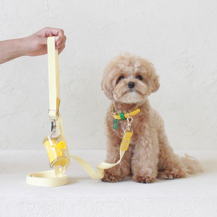 ※予約販売【maison de miu】Pet Color 4Way Lead (Lemon / Y ...