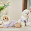 ※予約販売【MOI ET LE CHIEN】Day to Day tops（Purple） 韓国 ブランド かわいい おしゃれ プレゼント 小型犬 リンクコーデ ケープ NEW 春 秋 冬 犬