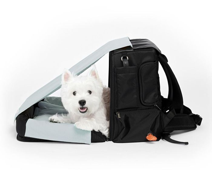 楽天URBAN DOG TOKYO 楽天市場店※予約販売【INSIDE DOG & CAT】Travel Bag Cushion Backpack（グレー×ブラック） 韓国 ブランド かわいい おしゃれ プレゼント 小型犬 バッグ リュック キャリーバッグ マット タオル くつ NEW 丈夫 クッション 犬