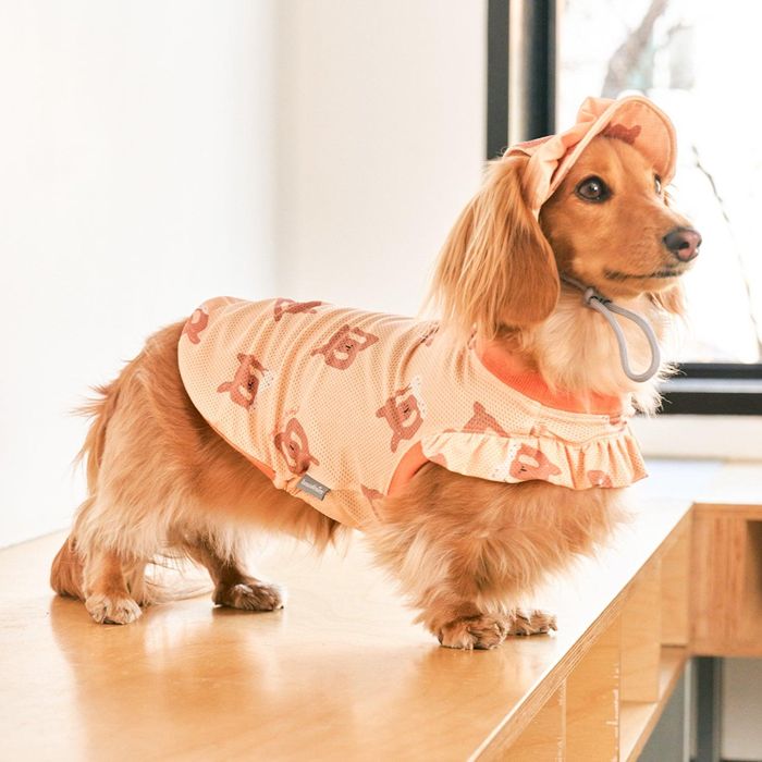 ※予約販売【munikund】Bug Guard One-Hole (Yellow Pretzel) 犬服 ドッグウェア 犬の服 小型犬 小型犬服 犬用品 ドッググッズ 春 夏 秋 春服のサムネイル