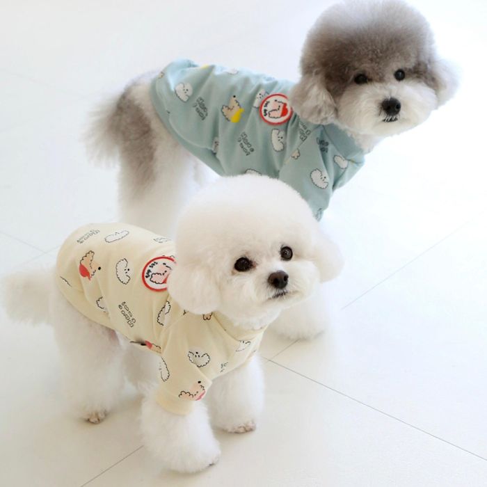 ͽITS DOGHave Fun Pure Cotton T-Shirt  ɥå ڹ  ɥåå T...
