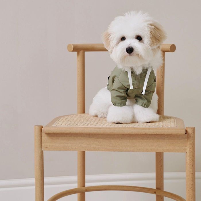 ¨Ǽsmall stuffHOODED ANORAKKHAKI ڹ ֥ 襤  ץ쥼  ͡ॿ ...
