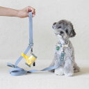 ※予約販売Pet Color 4Way Lead (Light blue / Blue) 韓国 ブランド かわいい おしゃれ プレゼント 小型犬 リード タオル NEW 春 夏 便利