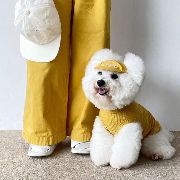 ※予約販売【CRR】CRR Dog Nylon Cap（6color） 犬用品 ドッググッズ ドッグウェア 犬服 犬の服 小型犬 ..