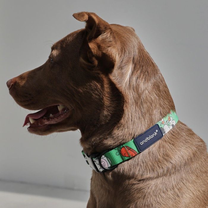 予約販売【andblank】Milk Cow Neck Collar Joule Green 韓国 ブランド かわいい おしゃれ プレゼント 小型犬 首輪 リード 散歩グッズ NEW 中型犬 丈夫 大型犬 犬