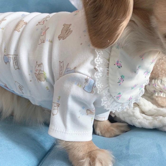 『まるでベビー服のようなふわふわでゆるいイラストが可愛いトップス』 韓国で大人気のブランド"ohha"のベビールームウェアです。 伸縮性のある肌触りの良い洋服は、肌が敏感な愛犬にもおすすめです！ その肌触りの良さとベビー服のような可愛いイラストが特徴的で、着ることで愛犬を子どものように演出してくれます ルームウェアとしてもお出かけ着としてもお使いいただけるデザインです！ サイズ 　　　 着丈　　 首回り　　胴回り S　 23.5cm 24cm　　35m SM　 -cm　 -cm　　 -cm M　　28.5cm　28cm 　 39cm　 L　 32.5cm　30cm　 45cm　 XL　 34.5cm　33cm　 51cm 2XL　38cm　 36cm　　55cm　 ※着用サイズは人の手で測定しているため、若干の誤差がある場合がございます。※商品サイズをお選びいただく際、着丈が長すぎなければ、胸囲と首回りはペットの測定サイズより1?2cmほど余裕を持ってお選びください。 伸縮性あり 注意事項・30度以下のぬるま湯で手洗いしてください。 着用のおすすめシーズン春・夏・秋・冬