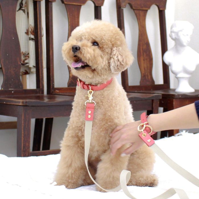 ͽmaison de miuHands Free Full SetCoral ڹ ֥ 襤  ץ쥼...