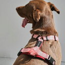 ※予約販売【andblank】Essential Pro Harness（Pink） 韓国 ブランド かわいい おしゃれ プレゼント 小型犬 首輪 ハーネス リード 散歩グッズ NEW 中型犬 丈夫 便利 大型犬 犬