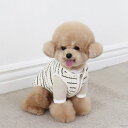 ※予約販売【Chiot】Bebe cream quilted zip-up（Khaki） 韓国 ブランド かわいい おしゃれ プレゼント 小型犬 NEW 春 夏 秋 冬