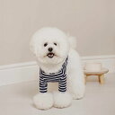 即納【small stuff】STRIPED T-SHIRT（NAVY） 韓国 ブランド かわいい おしゃれ プレゼント 小型犬 ハーネス NEW 春 夏 秋 冬 犬
