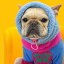 ※予約販売【TOOF】PUPPY NECKWARMER（Blue） 韓国 ブランド かわいい おしゃれ プレゼント 小型犬 NEW 秋 冬