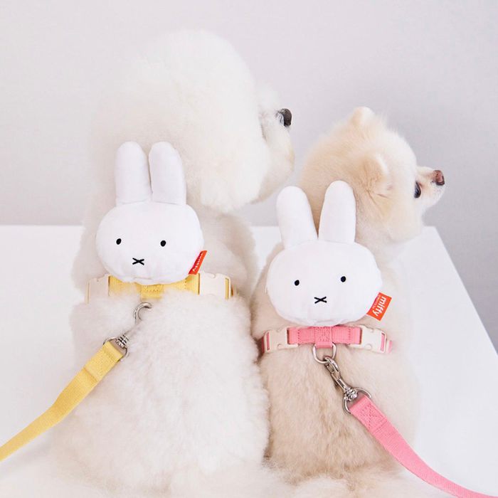 ¨ǼnouttiMiffy Poop Bag Harness ϡͥ ߥåե ڹ  ɥåå ɥå  ...