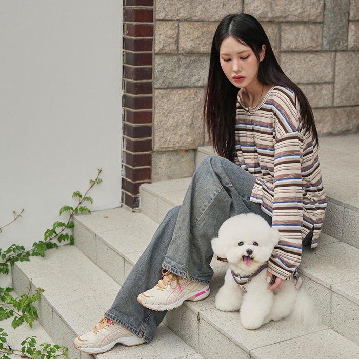※予約販売【noutti】Matilda Cardigan（Brown） 韓国 犬用品 ドッググッズ ドッグウェア 犬服 犬の服 ..
